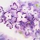 Painting lilac branch on a white background watercolor in the bedroom a bouquet of flowers. Pictures. Olga Ermakova art. Online shopping on My Livemaster.  Фото №2