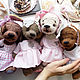 Dog Teddy rise 25cm. Stuffed Toys. Teddy Lily Glu. Online shopping on My Livemaster.  Фото №2