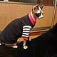 Clothing for cats 'Mod'. Pet clothes. Happy-sphynx. Online shopping on My Livemaster.  Фото №2