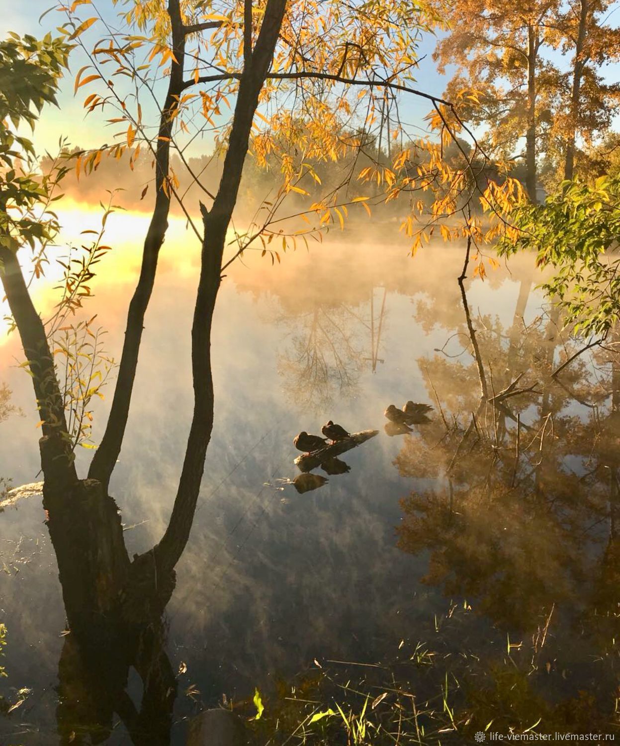 Набор фоторабот « Осень золотая», Фотокартины, Алтайский,  Фото №1