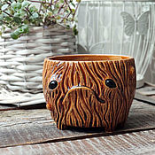 Цветы и флористика handmade. Livemaster - original item pots: Mandrake for cactus or succulent. Handmade.