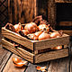 Caja de almacenamiento de roble pequeño. Crates. Foksvudrus. Online shopping on My Livemaster.  Фото №2
