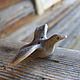 Whistles: Duck flying. Penny whistle. Pottery ''Baigol''. Online shopping on My Livemaster.  Фото №2