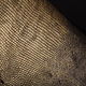 Order Lizard skin, abdominal part of the skin, width 39-41cm IMR2005VJ. CrocShop. Livemaster. . Leather Фото №3