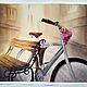 Picture of a Bicycle with pink Sepia flowers in brown shades. Pictures. Olga Ermakova art. Online shopping on My Livemaster.  Фото №2