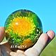 Copy of Glass sphere small 6 cm "Dandelion". Christmas gifts. Author's glass Kurakinykh. Online shopping on My Livemaster.  Фото №2