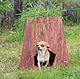 Booth with a mini garden for your pet cedar, Pet House, Turochak,  Фото №1