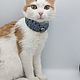 Collar for kitty out of paracord, Dog - Collars, Moscow,  Фото №1