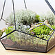 Mossarium. Florarium with real live moss. Freeform. Florariums. Glass Flowers. Online shopping on My Livemaster.  Фото №2