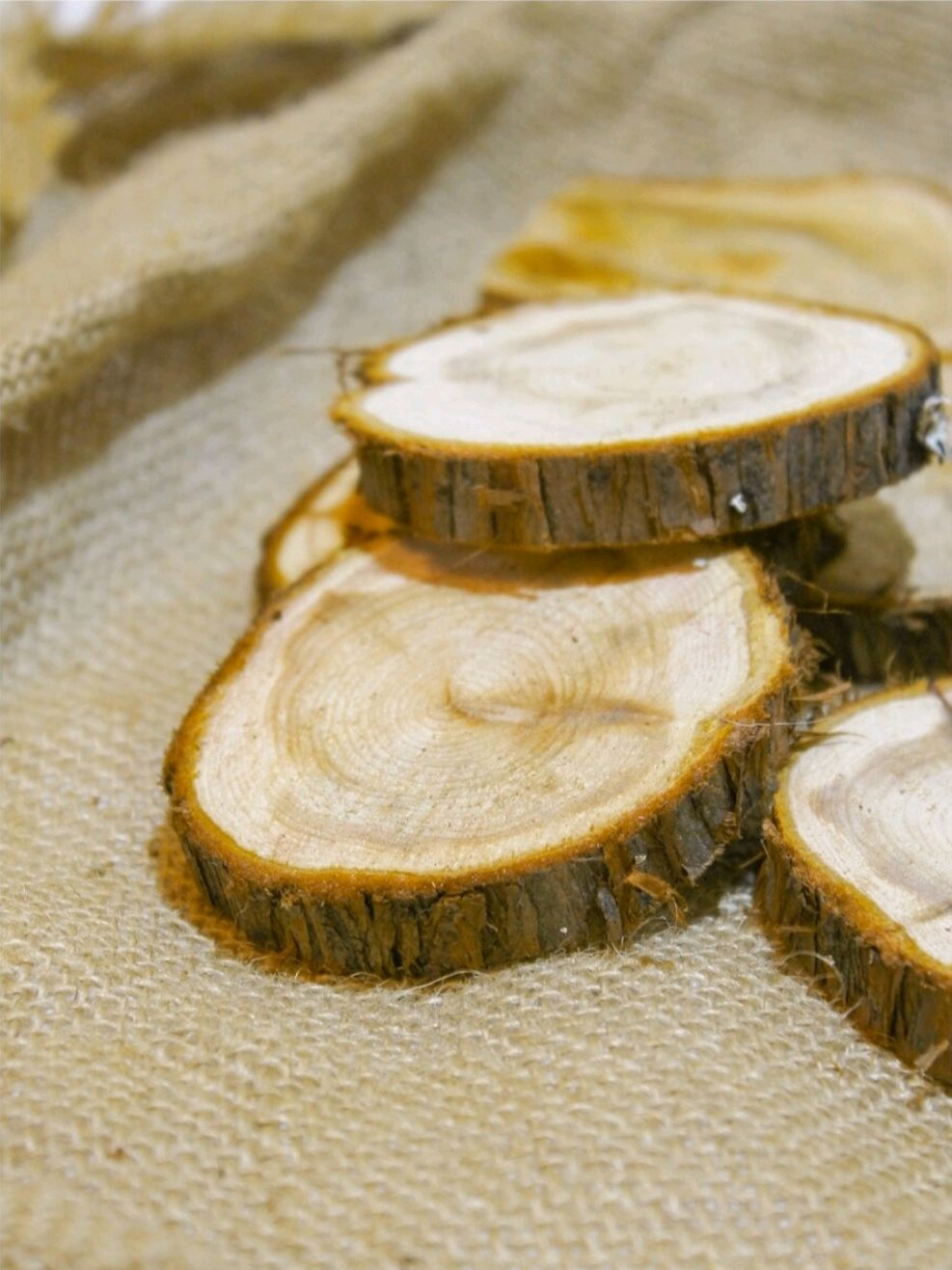 можжевеловые спилы. из спилов можжевельника. можжевеловые спилы. мраморный можжевельник спил. элементы декора из можжевелового спила.