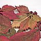 Wild grapes in autumn - plate d24cm. Plates. Elena Zaychenko - Lenzay Ceramics. My Livemaster. Фото №5