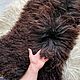 Длинношерстная овечья шкурка. Натуральный цвет, Ковры, Махачкала,  Фото №1