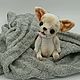 Order Dog toy Teddy. Chihuahua. Anastasia Besedina (xxx555vvv444). Livemaster. . Stuffed Toys Фото №3