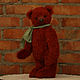 Мишка Агний. Мишки Тедди. Елена Перминова (elenaperminovabears). Ярмарка Мастеров.  Фото №5