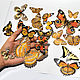 Vinyl sticker - Colorful butterflies. Glow in the dark, Interior elements, Sterlitamak,  Фото №1