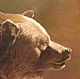 Заказать Картина "Медведь таёжный" (Гризли). SOLOVEI DESIGN. Ярмарка Мастеров. . Картины Фото №3