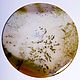 Agate with dendrites (round cabochons, d-63 and d-65 mm) Kazakhstan,Charly, Cabochons, St. Petersburg,  Фото №1