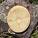 Cedar Sadhu Board with Iron nails, 10 mm, for beginners. Yoga Products. radosti-master. Online shopping on My Livemaster.  Фото №2