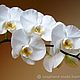Order 'Orchidea bianca' more spirits. Soaphand-made. Livemaster. . Perfume Фото №3