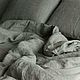 Soft linen made of washed linen. Bedding sets. Mam Decor (  Dmitriy & Irina ). My Livemaster. Фото №4