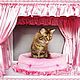 `Tenderness` the Design of exhibition tents for cats
