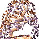 Дерево из натуральных камней аметиста и кварца, Деревья, Новосибирск,  Фото №1