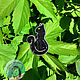 Brooch-pin: Black cat. Brooches. splegik (splegik). Online shopping on My Livemaster.  Фото №2