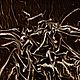 Заказать Бархат коричневый темный черный шоколадный шелковый (Франция). AELITA. Ярмарка Мастеров. . Ткани Фото №3