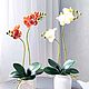 "Мотылёк" Орхидея фаленопсис, искусственное растение, Комнатные растения, Елец,  Фото №1