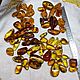 Cabochon amber natural, chicken God, cabochon with inclusion, amber,, Cabochons, Kaliningrad,  Фото №1