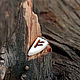 Rune Fehu. pendant of the bone of mammoth. Charmy. Pendant, Charm Pendant, Yalta,  Фото №1