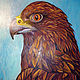 Picture Powerful beak, sharp eyes: large bird of prey, predator, Pictures, Murmansk,  Фото №1