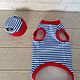 Clothing for 'Vest with red with cap', Pet clothes, Biisk,  Фото №1