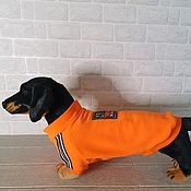 Зоотовары handmade. Livemaster - original item Clothes for dogs and cats Fleece sweatshirt 