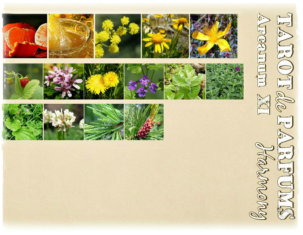 Таро ароматов: аркан 11. Гармония – купить на Ярмарке Мастеров ...