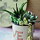 Interior arrangement with succulents. Composition. KG_flowers. Online shopping on My Livemaster.  Фото №2