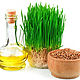 The wheat germ oil 25 ml, Oil, Moscow,  Фото №1