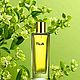 Tilia / unisex/ Духи в стиле Marc-Antoine Barrois. Духи. Ароматический Бутик (my-perfumer). Ярмарка Мастеров.  Фото №6