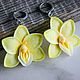 Yellow orchid earrings, polymer clay, Earrings, Nizhny Novgorod,  Фото №1