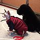 Cat clothes ' winter fleece Jumpsuit-Ripe cherry', Pet clothes, Biisk,  Фото №1