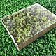 Stabilized moss yagel Packed (0,5 kg) from the manufacturer, Natural materials, Belgorod,  Фото №1