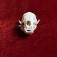 Skull mink. Ritual attributes. lakotastore. Online shopping on My Livemaster.  Фото №2