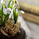 Interior composition with snowdrops. Composition. KG_flowers. My Livemaster. Фото №4