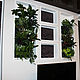 Vertical gardening with live plants. Design. Антонина Литовкина - Озеленение (Планета Флористики). My Livemaster. Фото №4