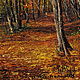 On the path-on the autumn...30h20. Pictures. TaNiVan'. Online shopping on My Livemaster.  Фото №2