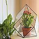 the florariumov: The Floriana. Vase for Floriana. Size M. Florariums. Glass Flowers. Online shopping on My Livemaster.  Фото №2