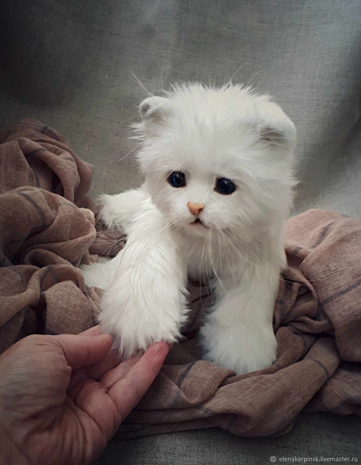 Кошечка маленькая белая