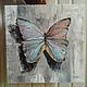 Paintings: 40 cm Oil on canvas Butterfly, Pictures, Solnechnogorsk,  Фото №1