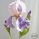 Order Iris polymer clay. Marina Zhadan. Livemaster. . Flowers Фото №3