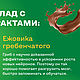 Шоколад молочный с ежовиком гребенчатым. Фигуры из шоколада. Rappesita. Ярмарка Мастеров.  Фото №4